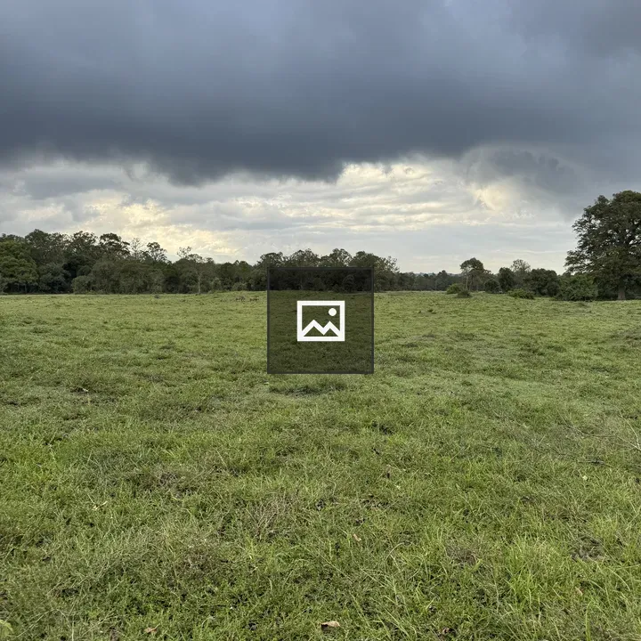 Field with grazing animals
