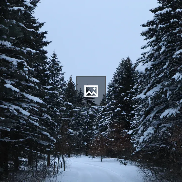 Snowy forest road