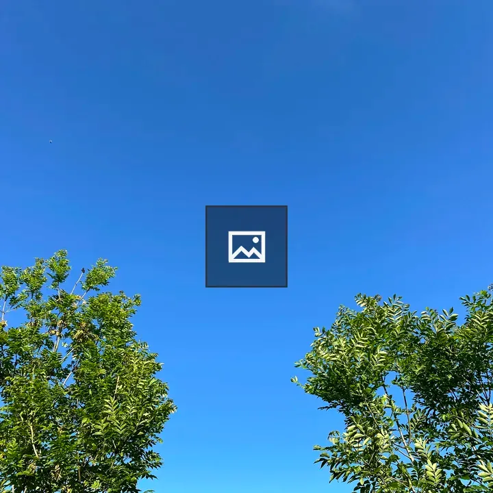 Moon over trees with clear sky