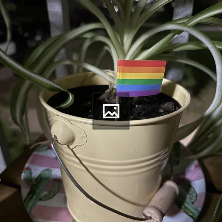 Rainbow flag on toothpick in plant