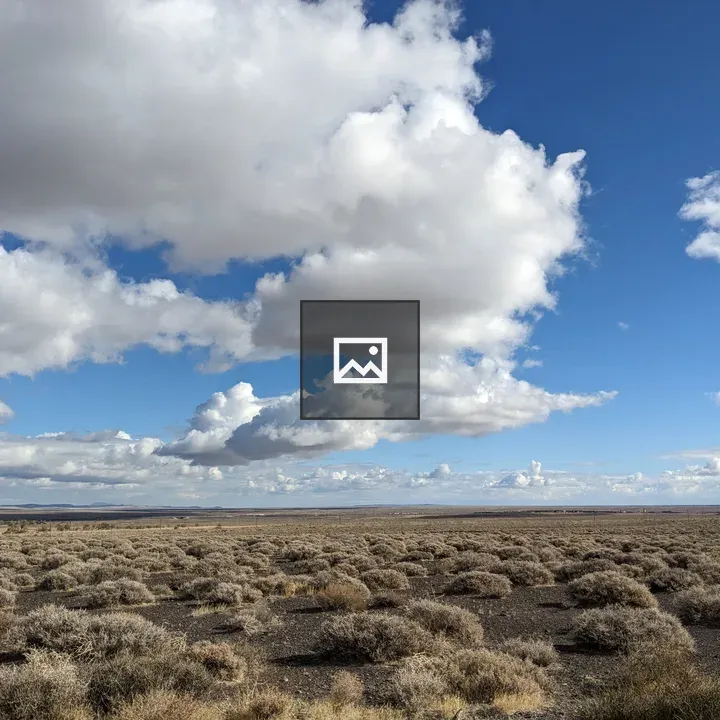 Desert Vista in Rural Nevada