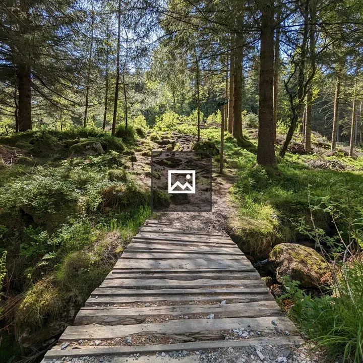 Woodland Path Through Trees