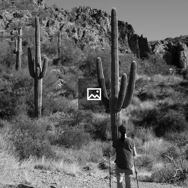Hiker near two tall cacti