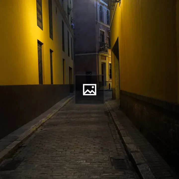 Narrow cobblestone alleyway