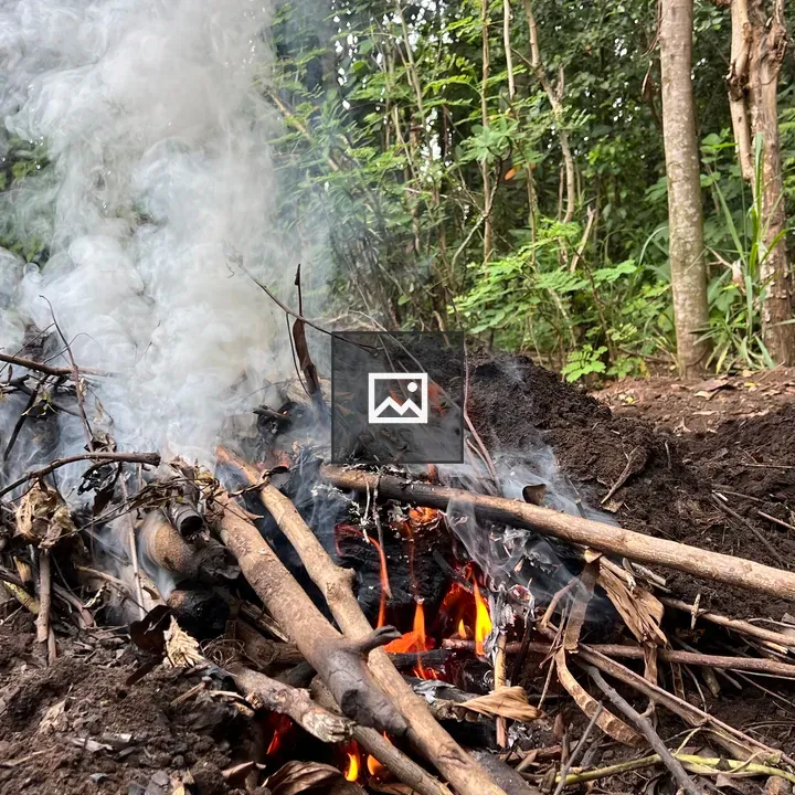 Small fire in forest clearing