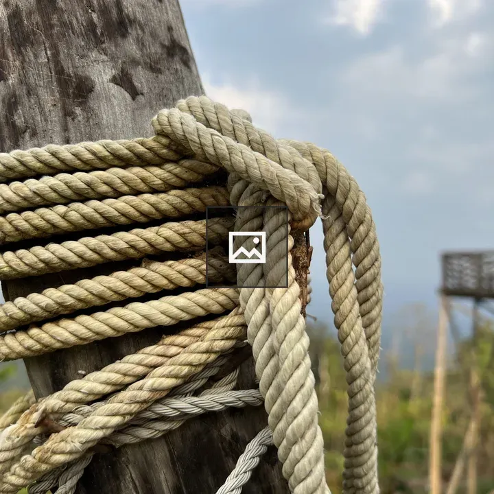 Rope With Tree