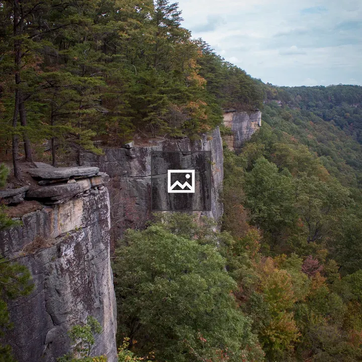 New River Gorge cliff landscape