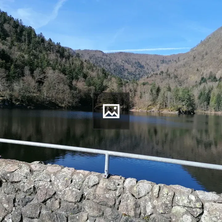 Stone Bridge Over Lake Scene