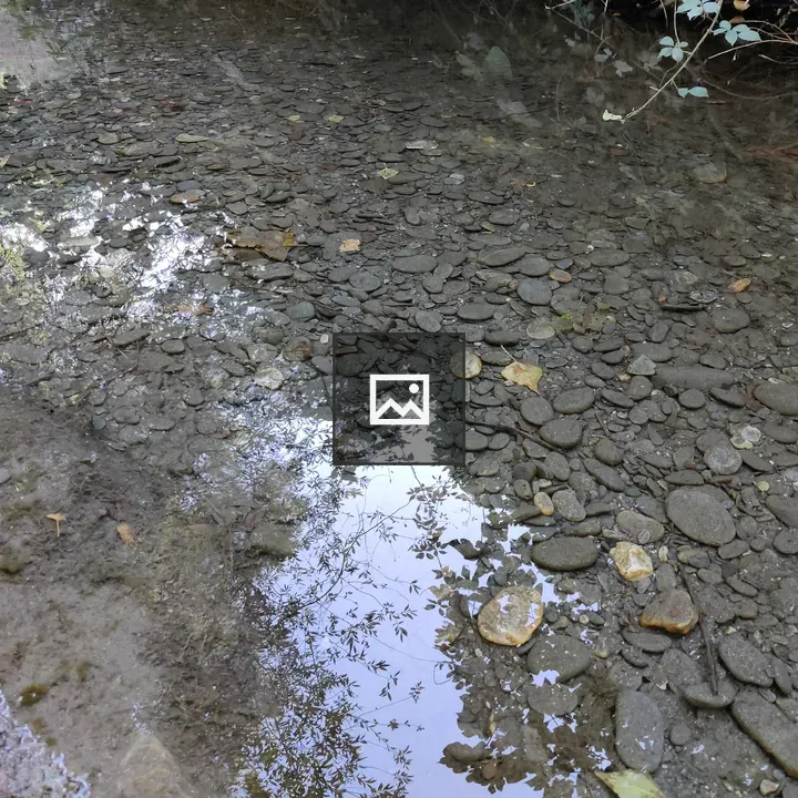 Rocky waterbed with reflections