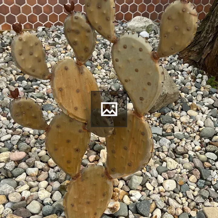 Cactus sculpture of steel