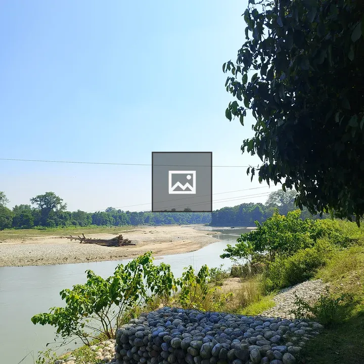 River with stone wall and vegetation