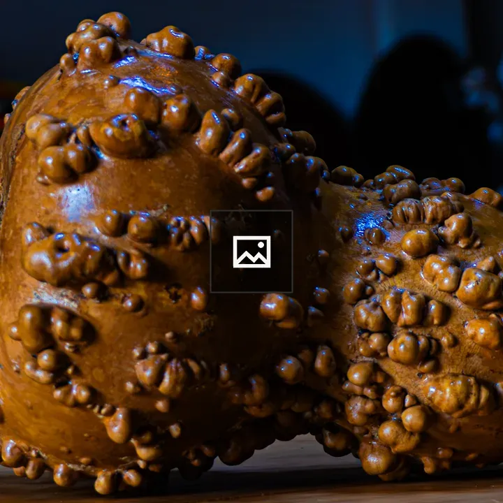Brown ornamental gourd on wood