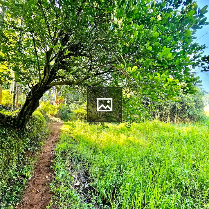 A walkway scene in Cherupa