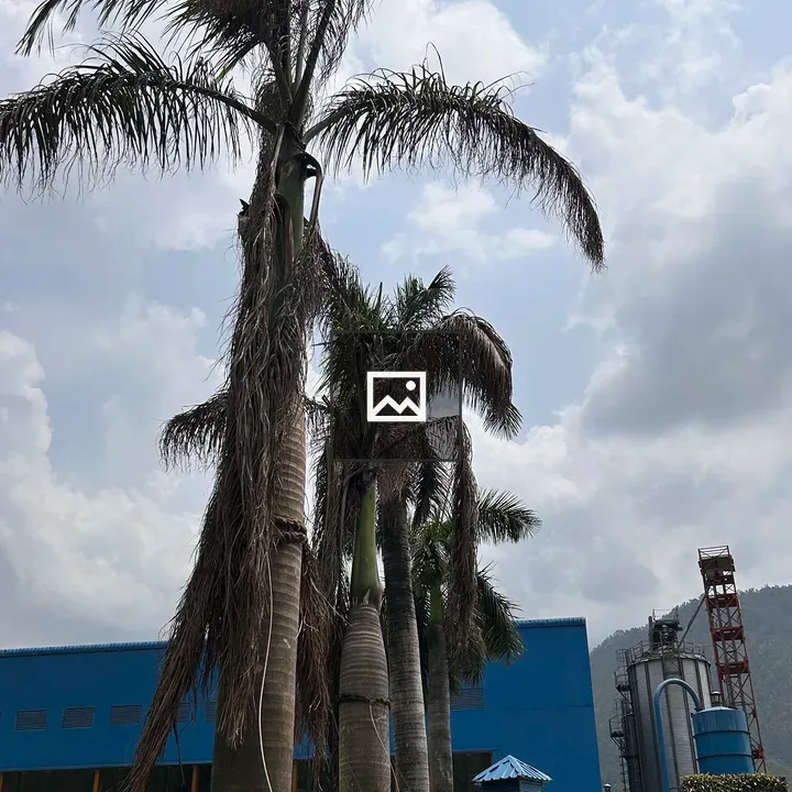 Row of Palm Trees and Industrial Building