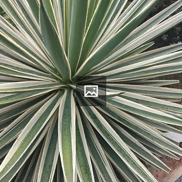 Long green leaves pattern