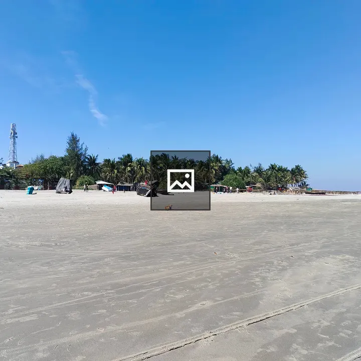 Sandy Beach with Trees