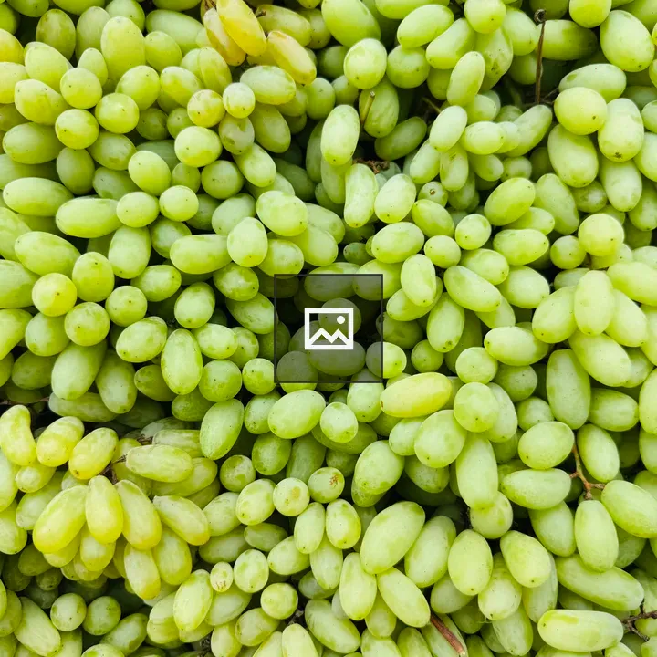 Grapes close-up cluster