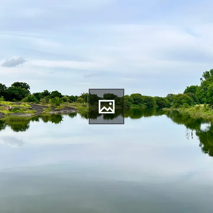 River with Green Banks