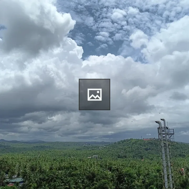 Sky with Clouds Over Palm Trees