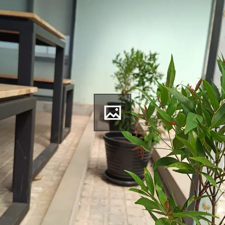 Plants in pots along window bench