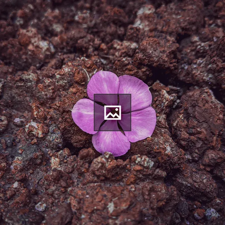 Periwinkle flower on the ground