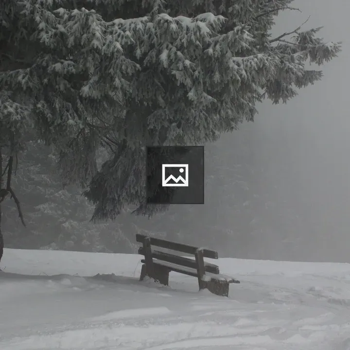 Winter Bench in Snow