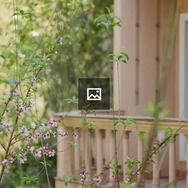 Pink blossoms with greenery and house