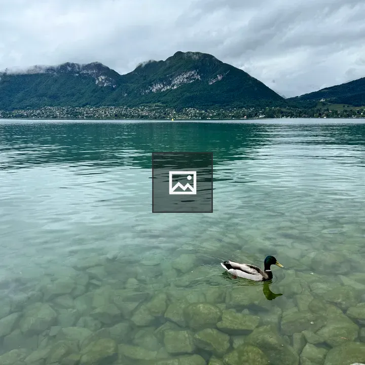 Duckling in Lake Annecy