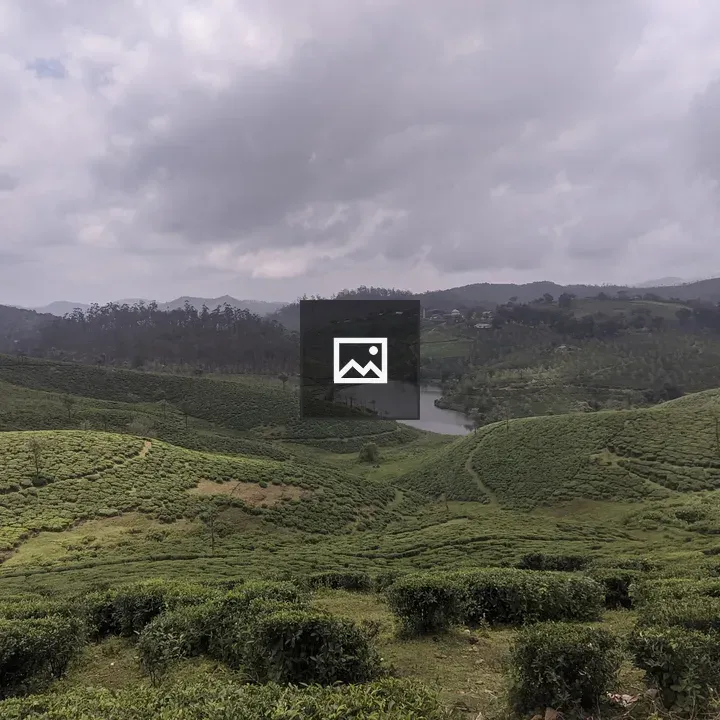 Tea garden with pond and cloudy sky