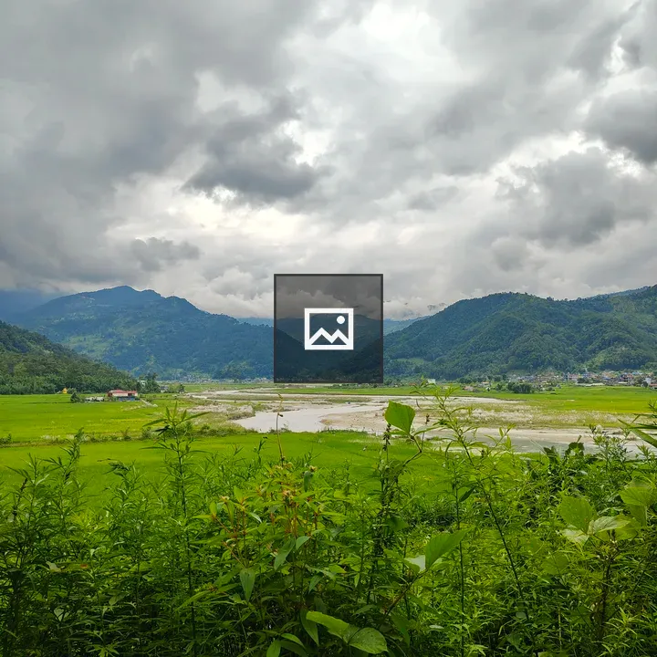 A lush green landscape with grasses and river
