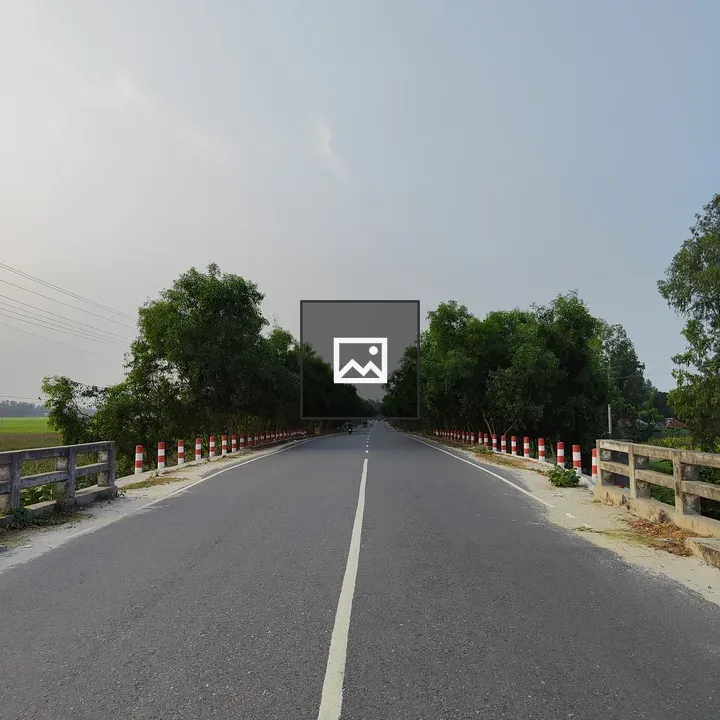Road with trees and railing