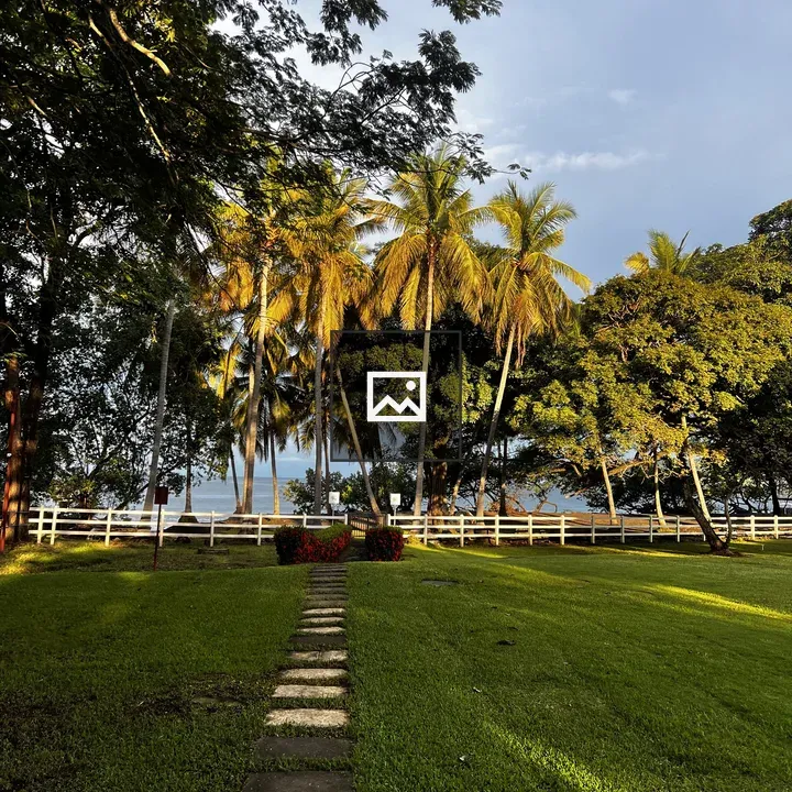 Lawn, Path, and White Fence