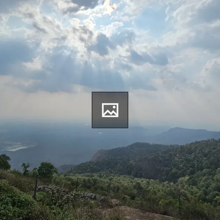 Forested hillside valley view