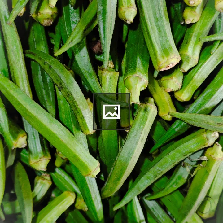 Okra (Lady Finger)