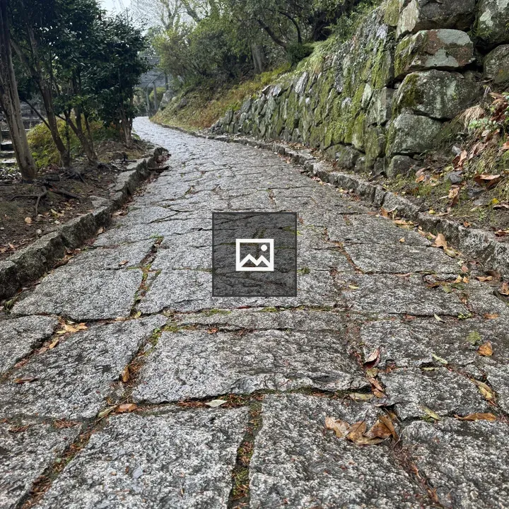 Wet cobblestone path and mossy wall