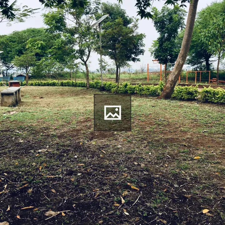 Open garden area with trees
