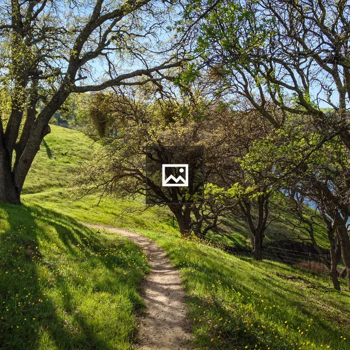 Trail Along Del Valle Lake