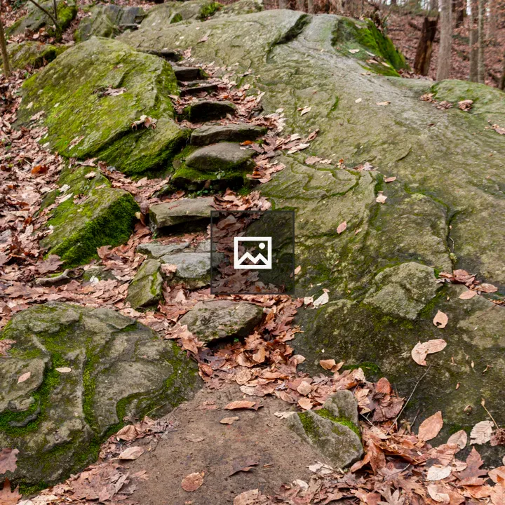 Stone steps in rocky garden