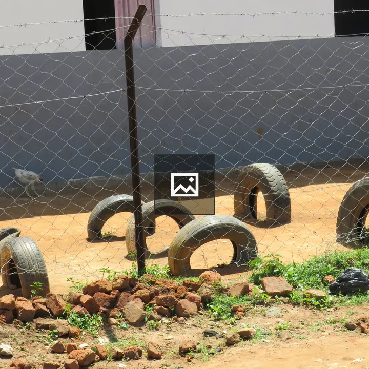 Fenced outdoor area with tires