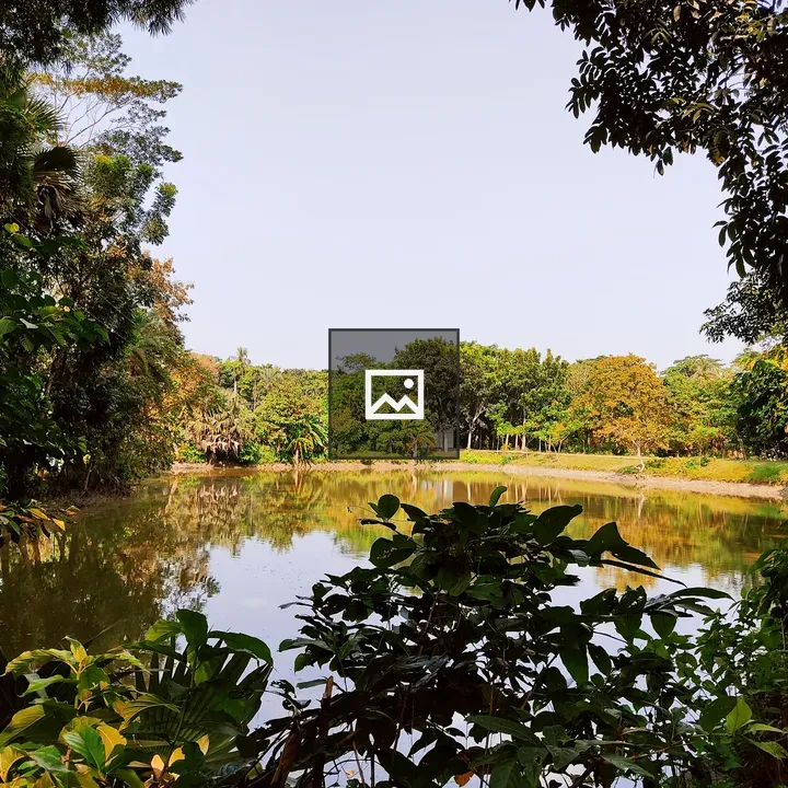 Tranquil pond in a village