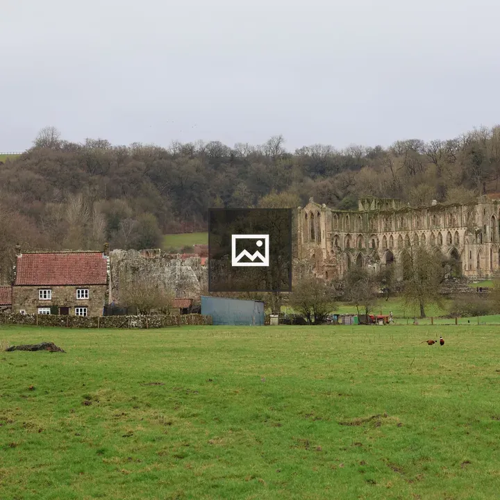 Rievaulx Abbey Landscape