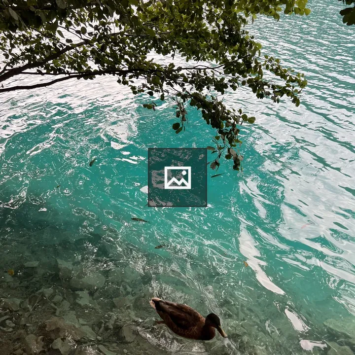 Plitvice Lakes Scene