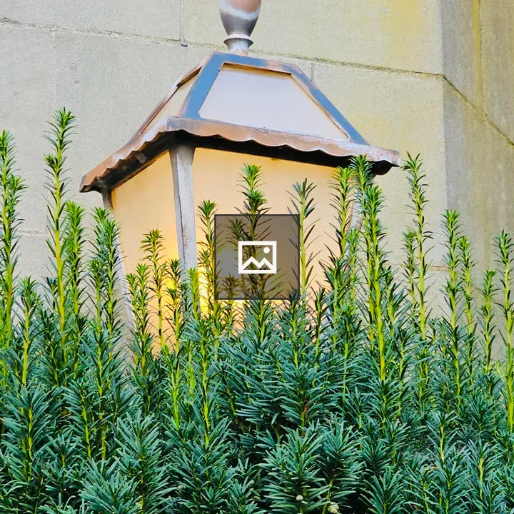 Glowing wall lantern with greenery