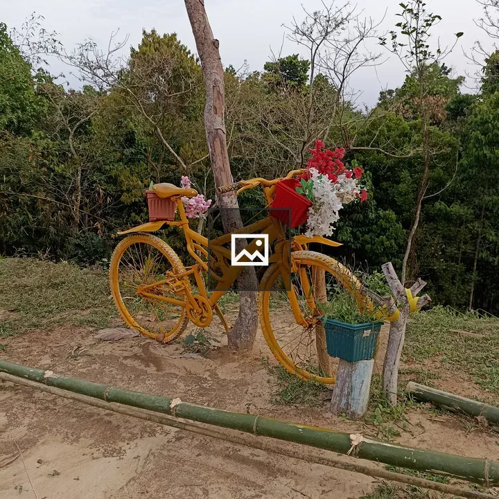 Yellow Bicycle Flower Stand