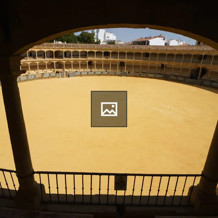 Bullring Arena View