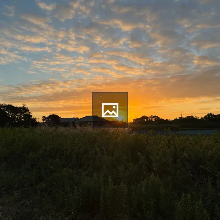 Golden Sunrise Over Rural Landscape