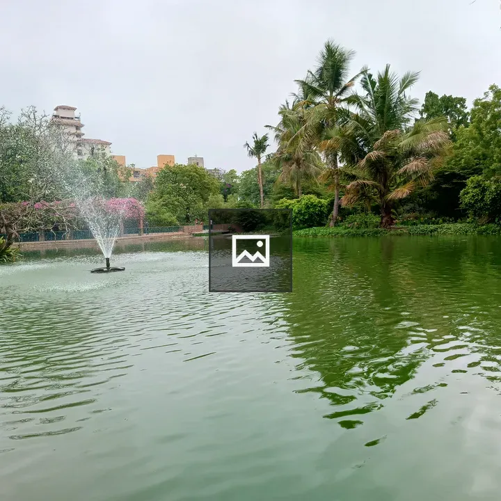 Park pond with fountain