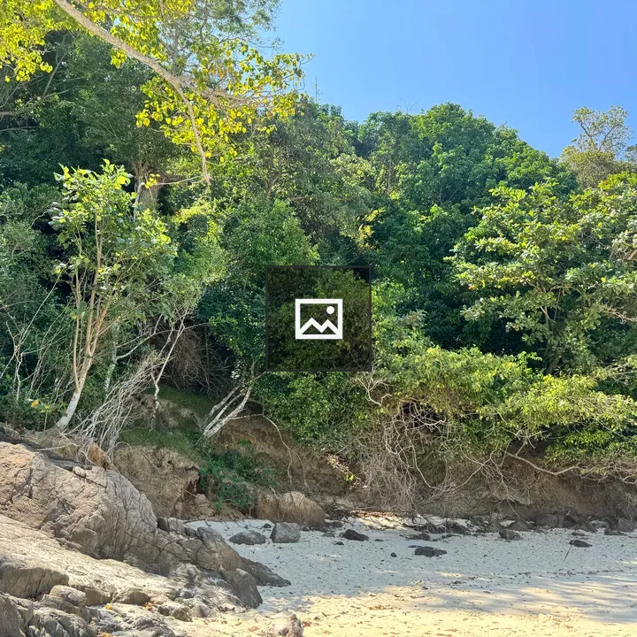Tropical beach with green foliage