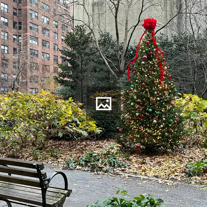 Christmas tree in a park