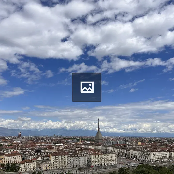 Panoramic view of Turin cityscape